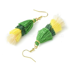 Boucles d'oreilles pendantes à pampilles colorées pour femmes&nbsp;EJEW-JE06107