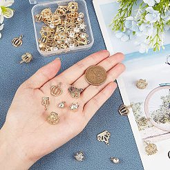 60 pièces 6 styles pendentifs en alliage&nbsp;PALLOY-PH0001-76G