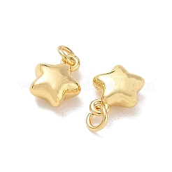Charms in ottone&nbsp;KK-E797-02C-G