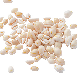 Perle naturali di conchiglia di ciprea&nbsp;BSHE-CJ0002-01