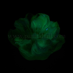 Cabochons della resina luminosi&nbsp;RESI-E033-02B