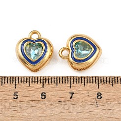 304 Edelstahl-Emaille-Anhänger&nbsp;STAS-C158-15G-06