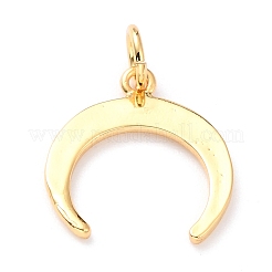 Messing Anhänger & Charms&nbsp;KK-M218-12G-RS