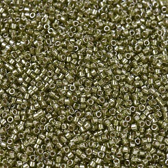 Miyuki Delica Perlen&nbsp;X-SEED-J020-DB0908