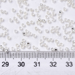 Perline semi di vetro&nbsp;SEED-S042-04A-06