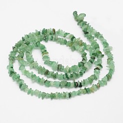 Chips natürliche grüne Aventurine Kügelchen Litzen&nbsp;G-N0164-31