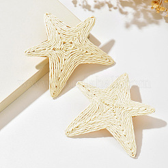 Boucles d'oreilles puces en fer et raphia pour femmes&nbsp;WGF3A03-01