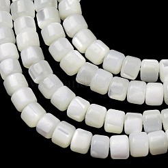 Fili di perle di conchiglia trochid naturale / trochus&nbsp;SH-CBA2978-18A
