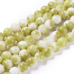 Chapelets de perles en jade persan naturel, teinte, ronde, olive, 12mm, Trou: 1mm, Environ 32 pcs/chapelet, 16 pouce