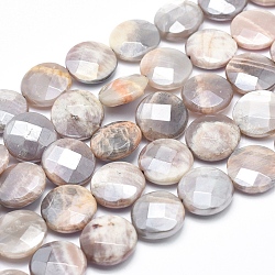 Galvaniser des perles de pierre de soleil naturelles, facette, plat rond, 18x6~7mm, Trou: 1.5mm, Environ 22 pcs/chapelet, 15.5 pouce