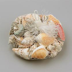 Granos naturales de la concha del mar, estilo mezclado, color mezclado, 35~60x15~55x5~45mm