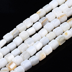 Eau douce naturelle de coquillage perles brins, colonne, 3.5x3.5mm, Trou: 0.8mm, Environ 111~112 pcs/chapelet, 14.76 pouce ~ 14.96 pouces (37.5~38 cm)
