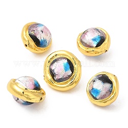 Handmade Lampwork Beads, with Golden Tone Brass Findings, Long-Lasting Plated, Round, Colorful, 14~17x15.5~17x12mm, Hole: 1mm