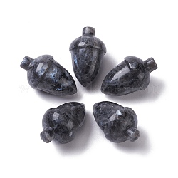 Perles de larvikite naturelles, pas de trous / non percés, pour création de fil enroulé pendentif , aveline, 27.5~30x18~19.5mm