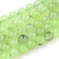 Chapelets de perles en préhnite naturelle, ronde, 5~5.5mm, Trou: 0.8mm, Environ 77~78 pcs/chapelet, 15.7 pouce (40 cm)