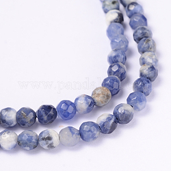 Faceted Natural Sodalite Round Bead Strands, 4mm, Hole: 1mm, about 92pcs/strand, 14.9 inch