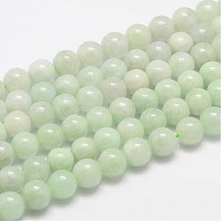 Natürliche myanmarische Jade / burmesische Jade-Perlenstränge, Runde, 8 mm, Bohrung: 1 mm, ca. 50 Stk. / Strang