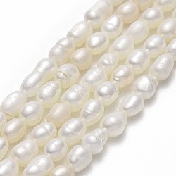 Hebras de perlas de agua dulce cultivadas naturales, arroz, lino, 4.5~5.5x3.5~4.5mm, agujero: 0.6 mm, aproximamente 62~66 pcs / cadena, 13.39