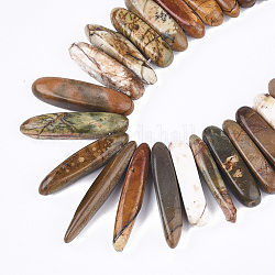 Pierre naturelle picasso / perles de jaspe picasso, bande graduée, 18~46x4~8x6~9mm, Trou: 1mm, Environ 55~64 pcs/chapelet, 15.7 pouce ~ 16.5 pouces