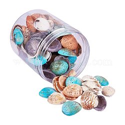 Perles de coquillage naturel teintées, couleur mixte, 32~37x20~29x8~10mm, Trou: 1mm, environ 100~120 pcs / boîte