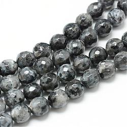 Brins de perles de larvikite naturelle, ronde à facettes, 8mm, Trou: 1mm, Environ 45 pcs/chapelet, 14.6 pouce