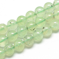 Chapelets de perles en préhnite naturelle, ronde, 6mm, Trou: 1mm, Environ 70 pcs/chapelet, 15.7 pouce (39.8 cm)