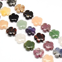 Mixed Natural Gemstone Flower Beads Strands, 20x6.5mm, Hole: 1mm, about 20pcs/strand, 16.53 inch