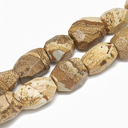 Natürliches Bild Jaspis Perlen Stränge, Nuggets, 19~23x15~18 mm, Bohrung: 2 mm, ca. 19 Stk. / Strang, 15.3 Zoll