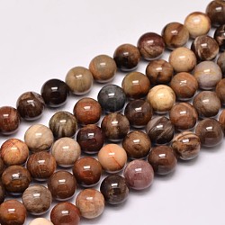 Bois pétrifié naturel brins de perles rondes, 8mm, Trou: 1mm, Environ 47 pcs/chapelet, 15 pouce