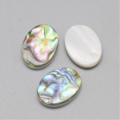 Paua Shell Cabochons&nbsp;SSHEL-R042-20-1