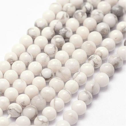 Natural Howlite Beads Strands G-N0199-01-3mm-1