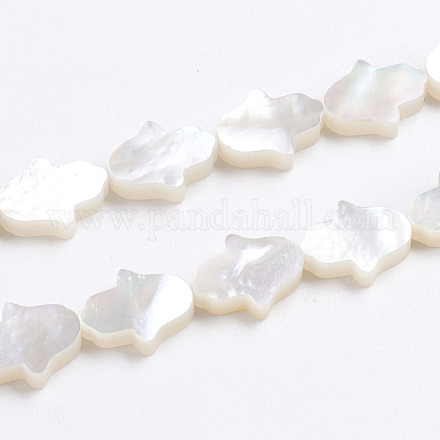 Natural White Shell Mother of Pearl Shell Beads SSHEL-L017-006-1