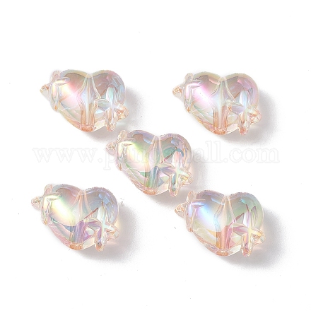 Perles en acrylique transparente OACR-B005-01B-1