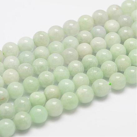 Natural Myanmar Jade/Burmese Jade Beads Strands G-F306-13-8mm-1
