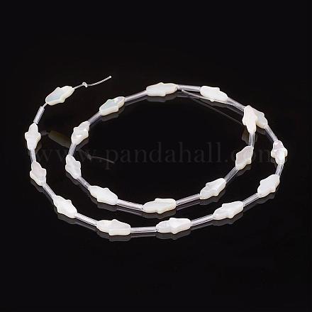 Natural Sea Shell Beads SSHEL-F293-48-1