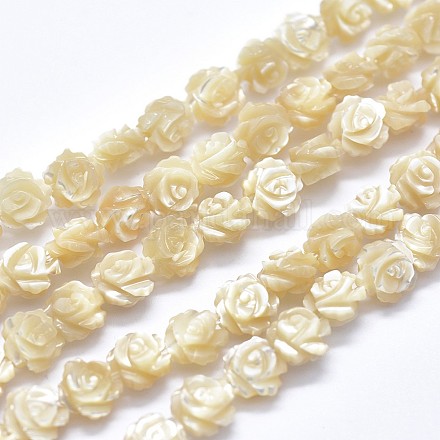 Chapelets de perles en coquille SSHEL-P015-01B-10mm-1