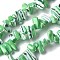Dyed Natural Trochus Shell Beads Strands, Nuggets, Lime Green, 9~21x5~7x6~8mm, Hole: 1.2mm, about 54~67pcs/strand, 14.76~15.24 inch(37.5~38.7cm)