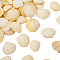 Natural Shell, for Vase Filler, DIY Craft, Home Decor, Blanched Almond, 23x27x8mm