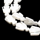 Fili di perle di conchiglia trochid naturale / trochus SSHEL-R145-05-6