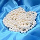 Tondo guscio fili di perle perla BSHE-L011-10mm-A013-4