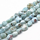 Natural Larimar Beads Strands X-G-R445-8x10-15-1