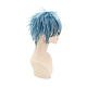 Короткие синие аниме косплей парики OHAR-I015-15-8