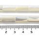 Fili di perline di conchiglia trochus naturale SSHEL-S266-020A-05-5
