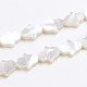 Perlas de concha de nácar de concha blanca natural SSHEL-L017-006-1