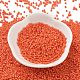 Baking Paint Glass Seed Beads SEED-S042-05B-84-2