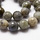 Chapelets de perles en labradorite naturelle  G-G736-04-12mm-3