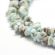 Natural Larimar Beads Strands X-G-P302-03-3
