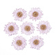 透明エポキシ樹脂カボション  金箔とスパンコール付き  ホログラムスタイル  花  ピンク  33~36x5~6mm CRES-N025-03A-1