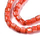 Natural Freshwater Shell Beads Strands SHEL-N003-33-A06-3