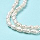 Natural Cultured Freshwater Pearl Beads Strands PEAR-E016-151-4